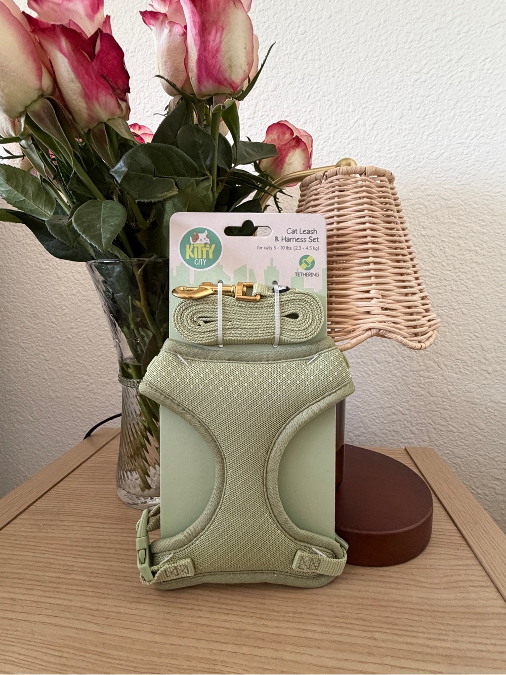 Light Green Cat Harness & Leash Set
